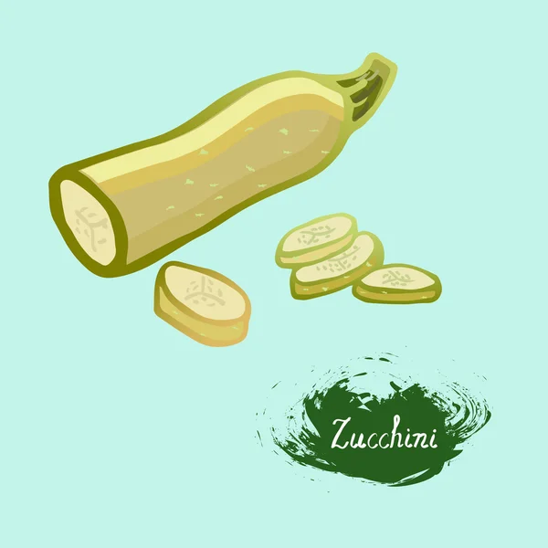 Zucchini  in the vector — Stock Vector