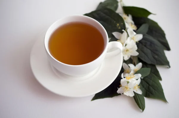 Φλιτζάνι τσάι και jasmine λουλούδια — Φωτογραφία Αρχείου