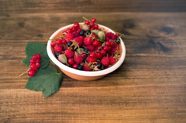 Rote Johannisbeeren und Maulbeeren auf einem weißen Teller — Stockfoto