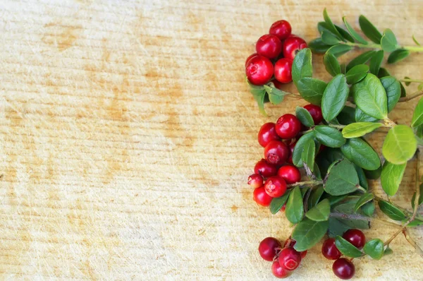 Buah lingonberry dengan daun — Stok Foto