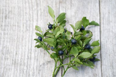  ahşap arka plan üzerinde olgunlaşmış yaban mersini