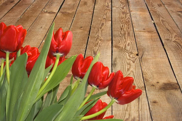 Tulipanes en el fondo de tablones de madera — Foto de Stock