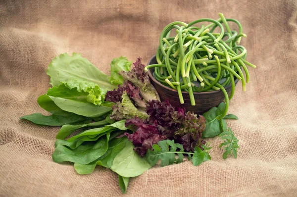新鲜蔬菜沙拉、 菠菜和芝麻菜 — 图库照片