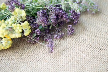 bitkiler ve çiçekler