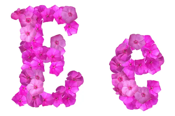 Букви алфавіту з рожевих квітів — стокове фото