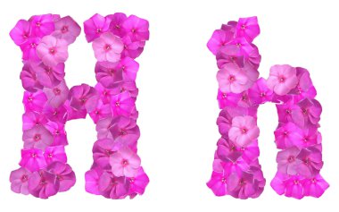 pembe çiçeklerden oluşan alfabenin harfleri