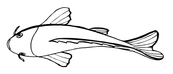 Риба намальована у векторі — стоковий вектор