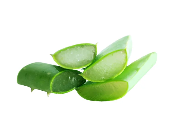 Aloe vera üzerinde beyaz izole — Stok fotoğraf