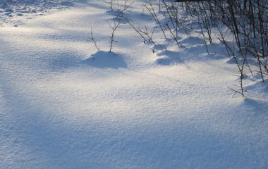 snowdrifts üzerinden dışarı dalları