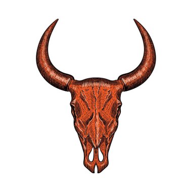 Beyaz arka planda izole edilmiş kırmızı el yapımı bufalo kafatası. Vektör illüstrasyonu