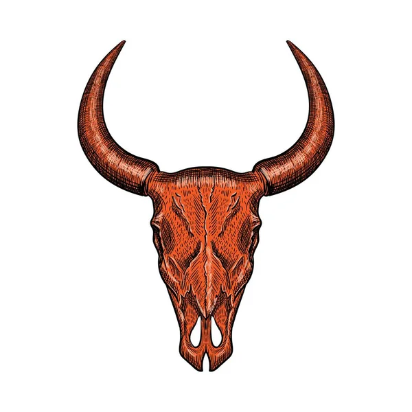 白い背景に描かれた赤い手描きの水牛の頭蓋骨 ベクターイラスト — ストックベクタ