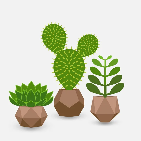 Set of houseplant succulents in pots — Stock Vector