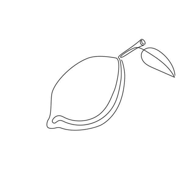 Cytryna z liściem ciągły rysunek linii — Wektor stockowy