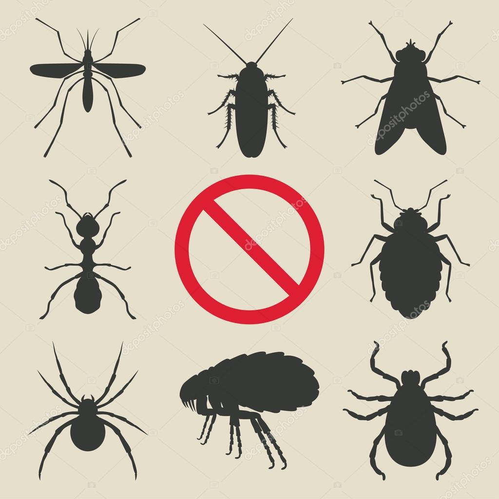Silhouette insects set - vector illustration. eps 8