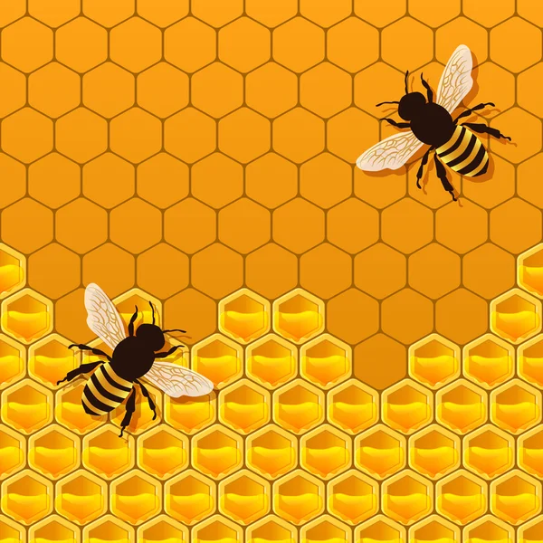 Achtergrond honingraat — Stockvector