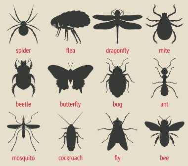insects icons set clipart