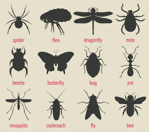 Conjunto de iconos de insectos — Vector de stock