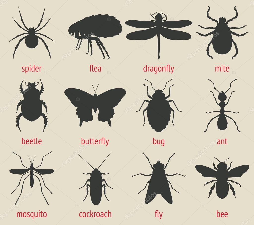 Insects icons set - vector illustration. eps 8