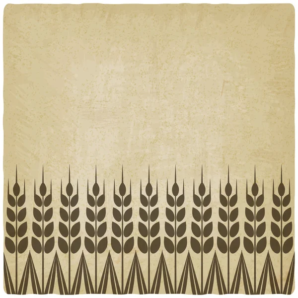 熟した小麦の耳古い背景 — ストックベクタ