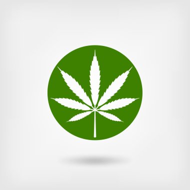 marihuana yaprağı yeşil daire içinde. logo simge