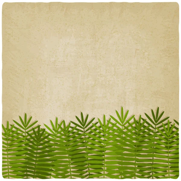 Eski arka plan egzotik yeşil palmiye yaprakları — Stok Vektör