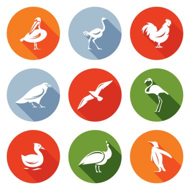 Kuşlar Icons Set. Vektör çizim.