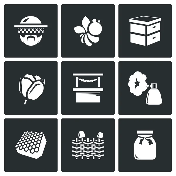 Vector Set van iconen van de bijenteelt. Imker, Bee Hive, bloem, Commerce, rook, honing, hek, Jar. — Stockvector