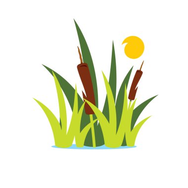 Vector Reed and Sedge Cartoon Illustration. clipart