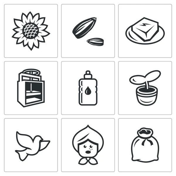 Vector Set of Sunflower Icons. Flower, Seed, Halva, Press, Oil, Seedling, Dove, grandmother, Sack. — Stock Vector