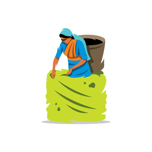 Illustration vectorielle de bande dessinée de cueilleur de thé . — Image vectorielle