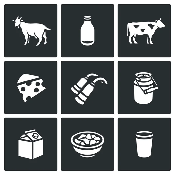 Conjunto vetorial de ícones de produtos lácteos. Animais, Garrafa, Gado, Fabricação de Queijo, Ordenha, Capacidade, Embalagem, Queijo, Amostra . — Vetor de Stock