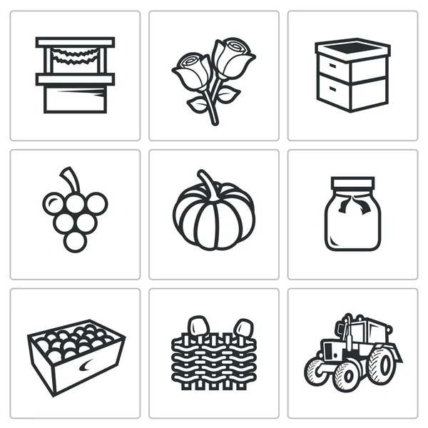 Vektor sadu ikon, zemědělství. Trh, růže, úl, hrozny, dýně, marmeláda, ovoce, proutěný plot, traktor. — Stockový vektor