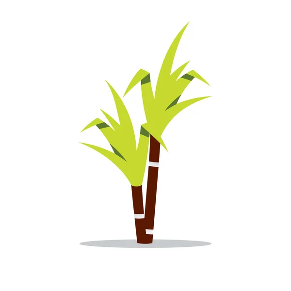 Vektör şeker kamışı karikatür çizim.