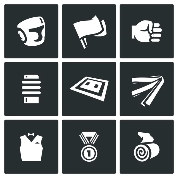 Vector Set of Karate Icons. Helmet, Flags, Fist, Makiwara, Tatami, Belt, Judge, Medal, Bandage. — Stock Vector