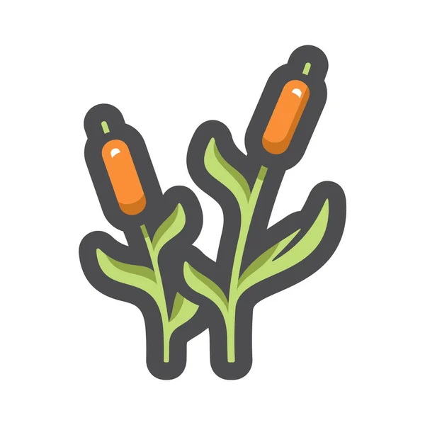 Thickets of Reeds Vector icon Cartoon illustration — Stock Vector