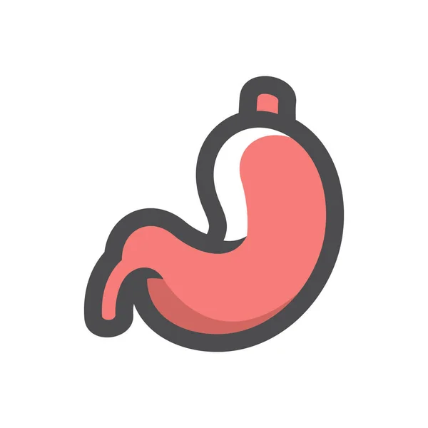 Stomach digestive organ Vector icon Cartoon illustration — Stock Vector