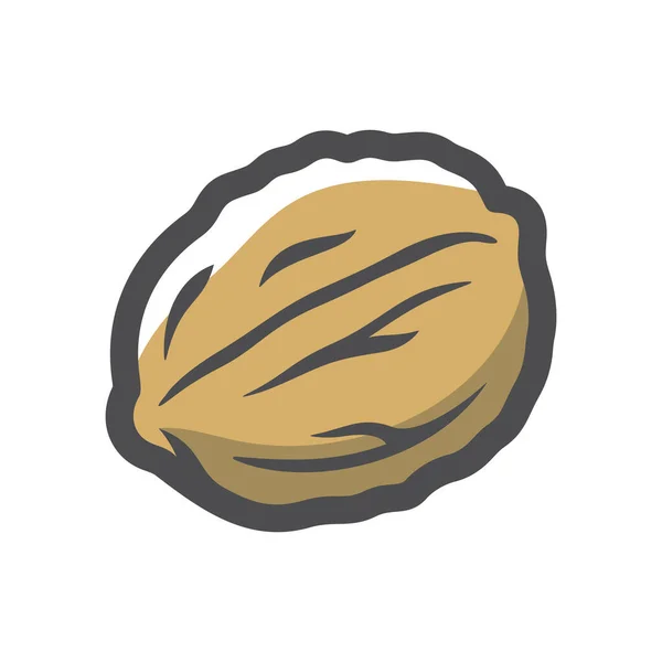 Walnut in shell Vector icon Cartoon illustration. - Stok Vektor