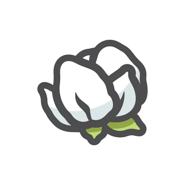 Ikona bavlněné květiny Vektorová ikona Kreslený obrázek. — Stockový vektor