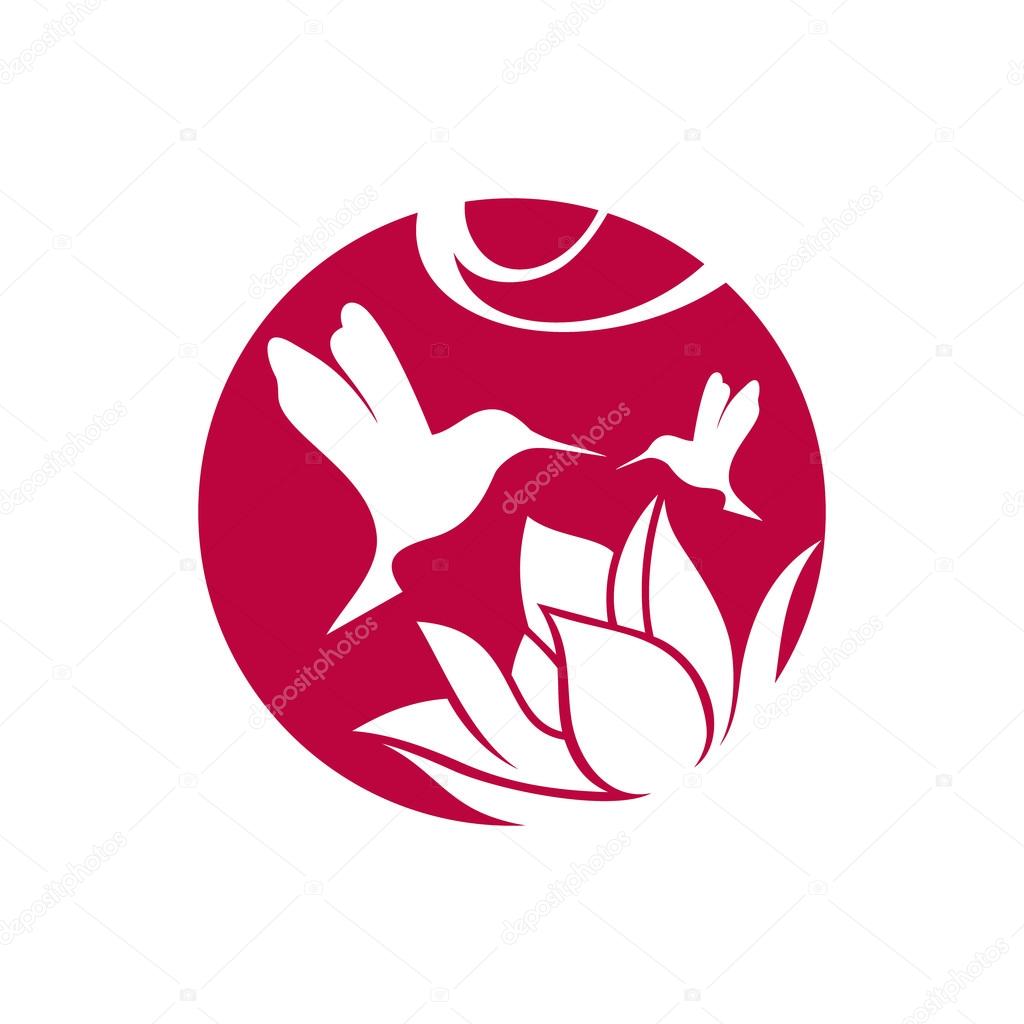 Hummingbird and flower sign. Branding identity corporate logo isolated on white background