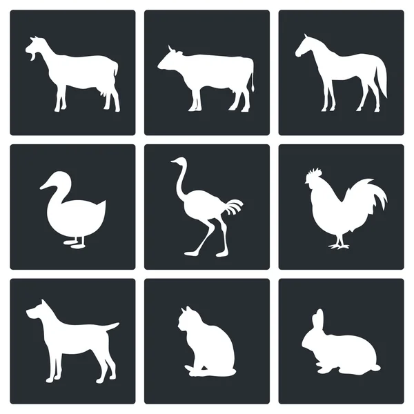 Pets, animals icon collection — Stock Vector