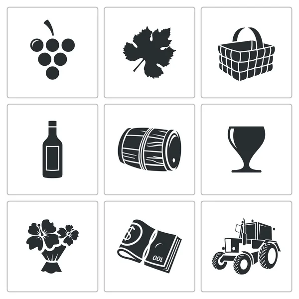 Conjunto de ícones de produção de vinho —  Vetores de Stock