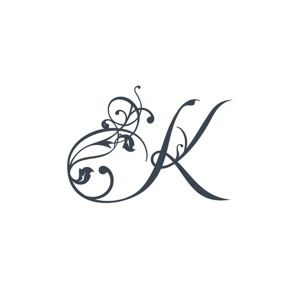 Signez la lettre K icône — Image vectorielle
