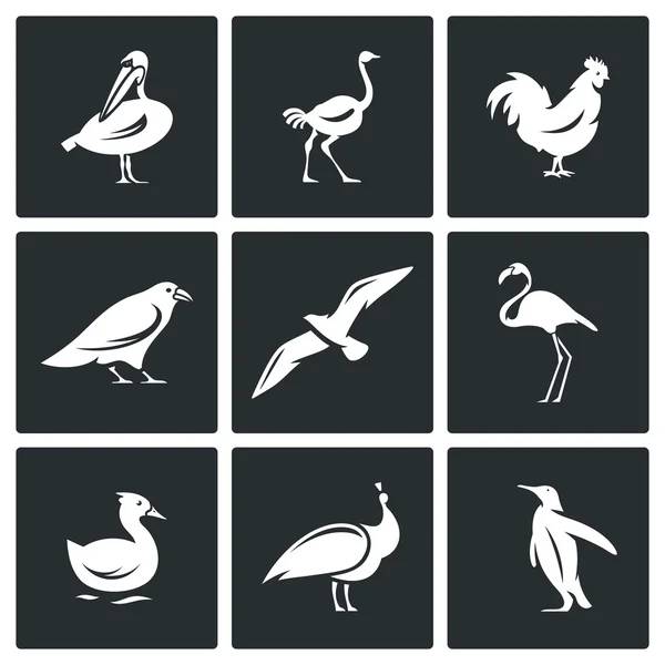 Birds icons set — Stock Vector