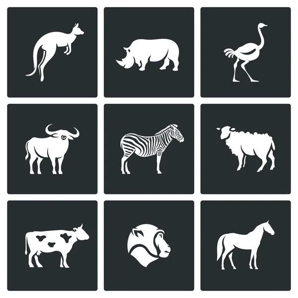 Dieren van het Australische continent — Stockvector