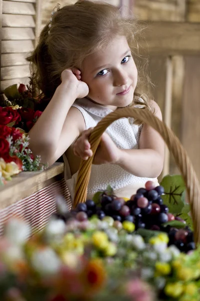 Šest rok stará dívka s košíkem ovoce — Stock fotografie