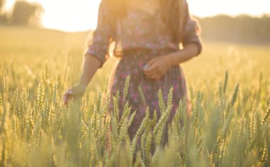 Silhouette of a girl on the background of wheat ears