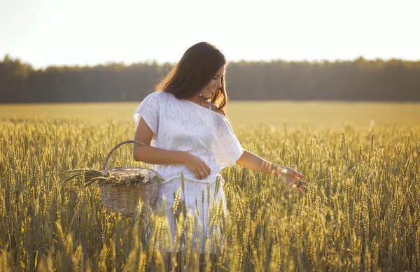 Hermosa chica de pie en el campo con canasta de maíz — Foto de Stock