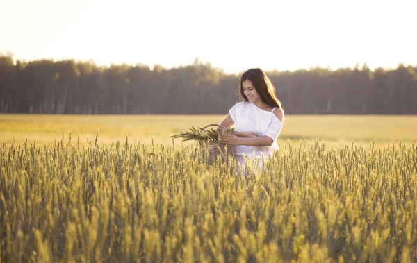 Hermosa chica en el campo de trigo sosteniendo la cesta con espigas — Foto de Stock