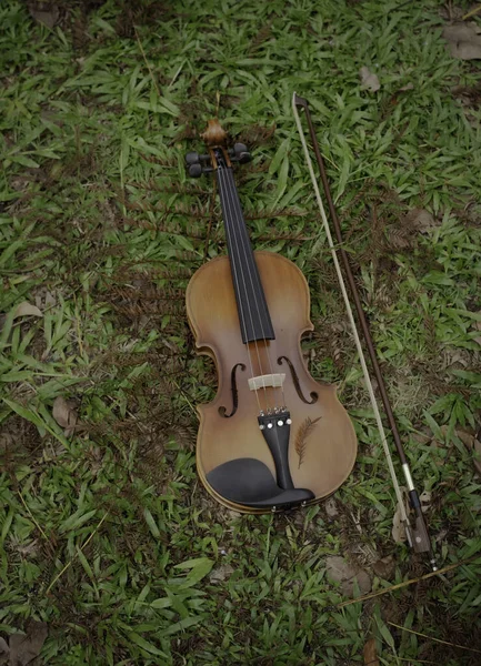Violin and bow put on green grass ground floor,show detail of acoustic instrument