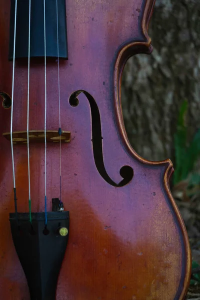 バイオリンの半正面を閉じて Fホールとバイオリンの形状 ヴィンテージとアートトーン 古典的なスタイルを示しています — ストック写真